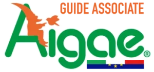 LogoAigae